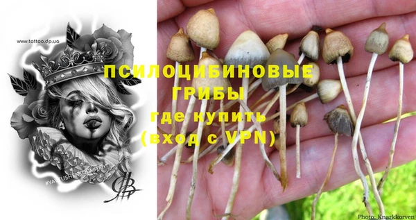 бошки Аркадак