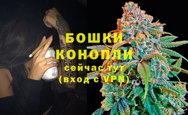 spice Армянск