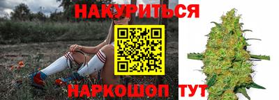 индика Балашиха