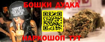 индика Балашиха